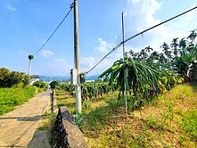 信實恬🍭南投延平國小旁千坪火龍果農地‼️價可談