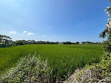♥️永恆良欣♥️台68交流道計畫臨路方正麻園農地