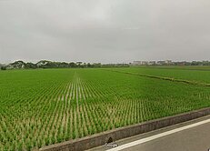 新豐青埔子美農地您節稅置產傳承的好物件