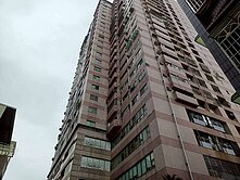 市政府高樓層景觀4房改2房+平車-苓雅透天大樓