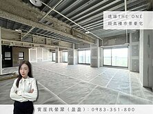 ⭐️專賣遠雄THEONE⭐超高樓市景雙連車豪宅