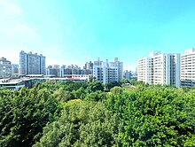 ⭐正面公園電梯三房車📞群義小師⭐