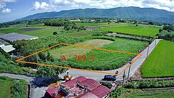 🍎專任急售-公告現值賣豐裡社區美景農地🍎