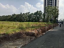 關新路旁2分農地【後甲C177】