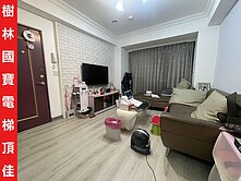 ►樹林國寶電梯頂佳~面樹林國小大同山◄中信小馬