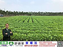 近潮州後火車站大地坪農地