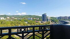 桃園南崁溪水畔➡️遠眺山景➡️單層獨戶雙主臥三房車