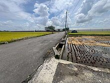 🎉 嘉義太保高鐵旁 美農地 🎉 