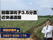 獨賣關廟深坑子3.5分農