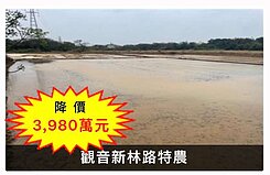 ☀️急急急.降價求售.觀音特農農地☀️