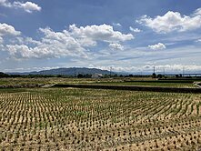 超值三面路美田