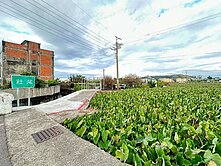 🅰️出價來談‼️大甲區和平路大面寬農地🅰️