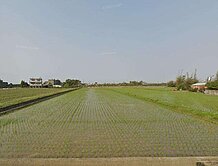 桃園市新屋區近華興路漂亮農地