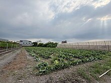 ☀️『九如近惠農國小臨7米路有水有電面寬農地』☀️