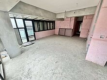 東京市~室內46坪+15坪大露台+三平車~頂樓戶