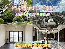 🌈帝王視野完美無價❗國泰plus3房車平車❗