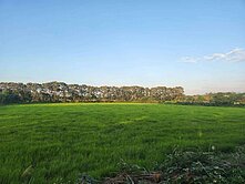 楊梅台31旁便宜農地