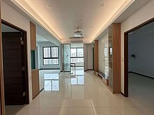 八德麗寶豐洲2+1房車