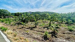 大家最愛自然湧出三空泉農地 附贈資材室 Q064