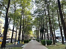 中興大學🏠健康公園旁面寬5.6米欠修理透天