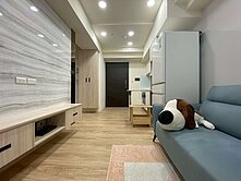 【安家小吳】青埔A18國家大院精美2房車