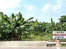 ◼嘉義市🌱東義路大面寬都計農地