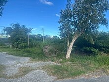 獨家專售★花蓮瑞穗青蓮段130坪建地UE580