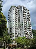 🏠森之林明亮兩房 綠意視野舒適宅🏠