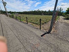 潮州四春方正農地