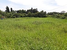 忠愛莊870坪農地