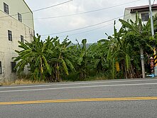 專任｜東勢區3號省道旁 都計內農地