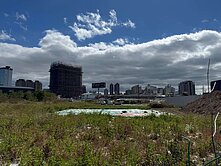 13期方正住1-1建地