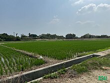 官田角秀1819都內農地