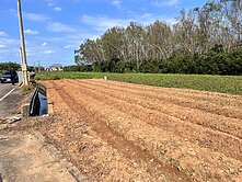 142-66快速道路旁大面寬農地