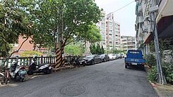 🏢西湖翡翠稀有公園首排黃金一樓店面✨