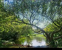 🏢大安森林公園捷運口 三角窗金店住💎