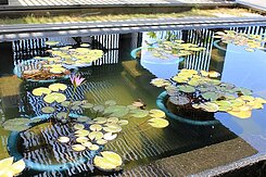 清淞19F16坪山景湯屋