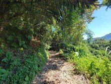 近關西高中台3線內山公路旁景觀農地