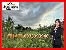 萬丹大面寬臨路農地