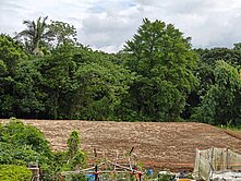 竹東下公館離塵不離城合法農舍