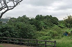 107捷運綠線(正中正北路)都內農