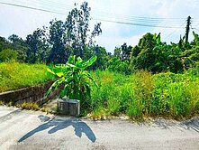 **白河竹門國小有水有電農地~