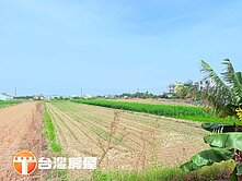 🌿新化頂山腳雙面臨路方正農地🌿