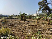 綠線G13站|河底段|都內農地