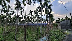 竹田大型合法豬舍畜牧場		