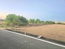 觀音向陽農場旁農地419