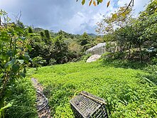 士林內雙溪自然生態農地＊離塵不離城＊