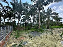 長治∣都計內方正農地有水有電(8)