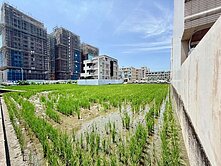 🌟信實逸瑄🌟台中海線梧棲區忠孝段住四建地