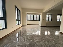 北屯稀有角間電梯別墅大地坪採光佳通風好